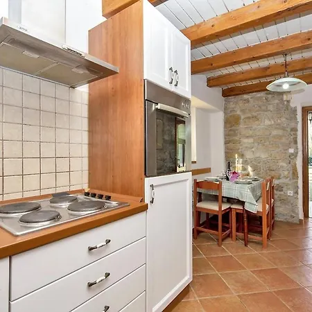 Traditional 2 Floor In Istria Muntrilj